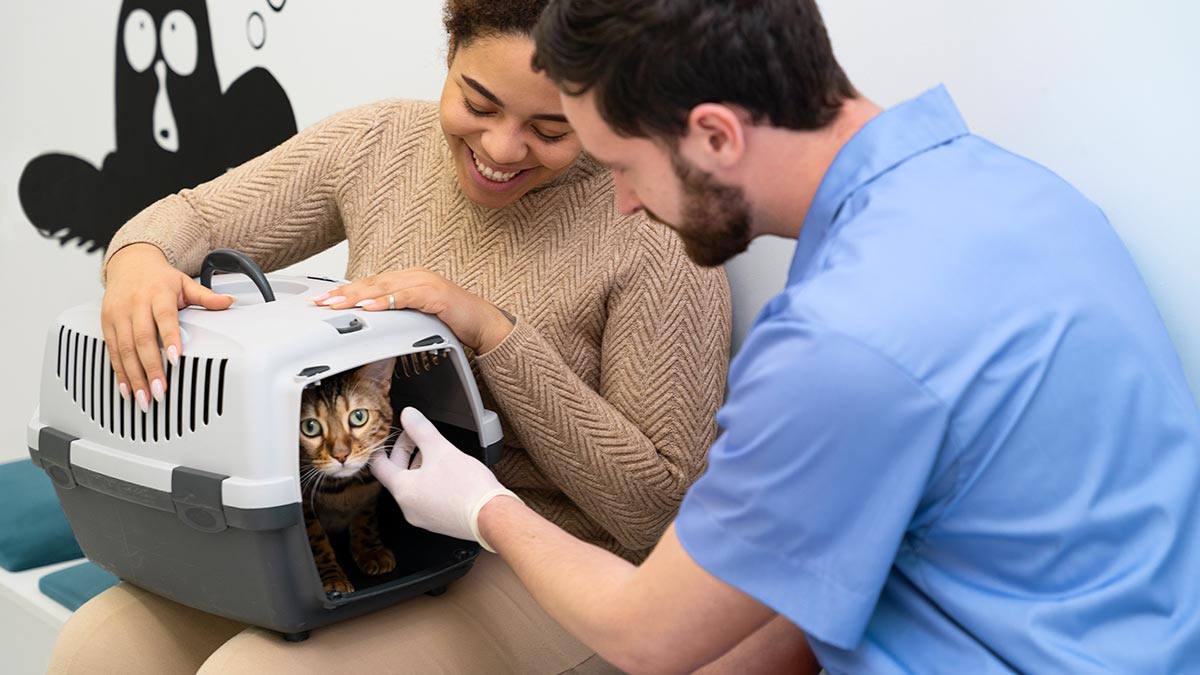 prótesis veterinarias, una Innovación Veterinaria